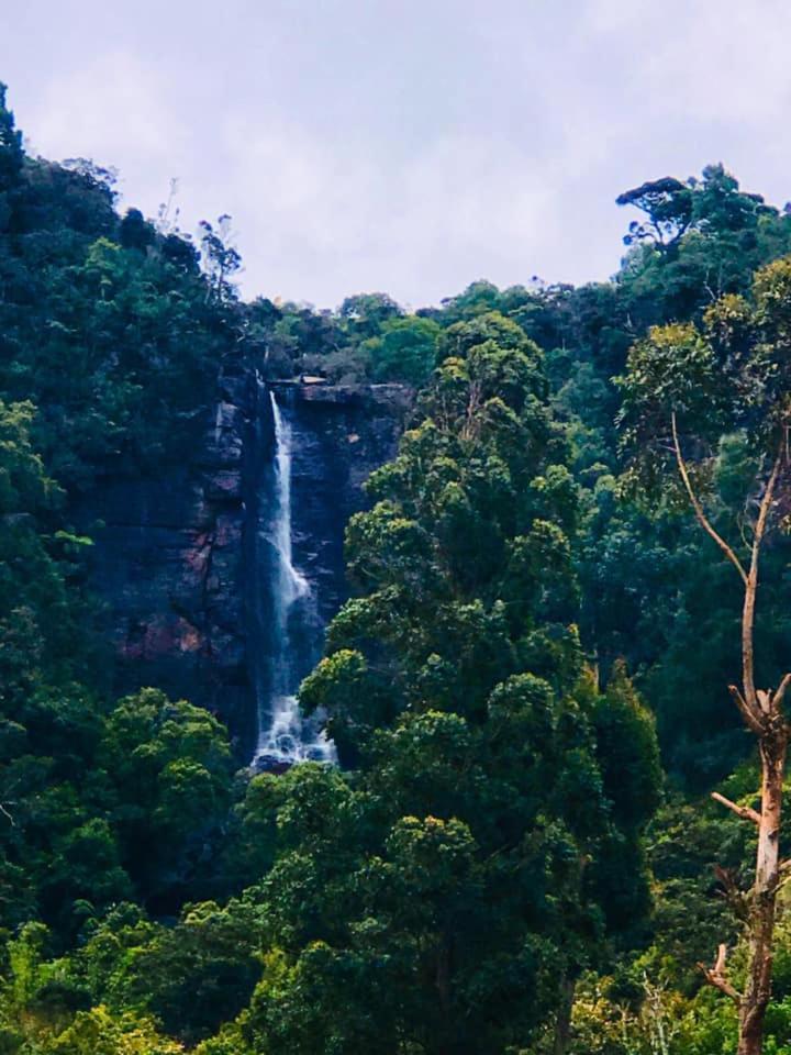 The Clovelly Bungalow Nuwara Eliya Ngoại thất bức ảnh